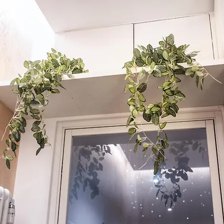 Barcaccia Exclusive Roma